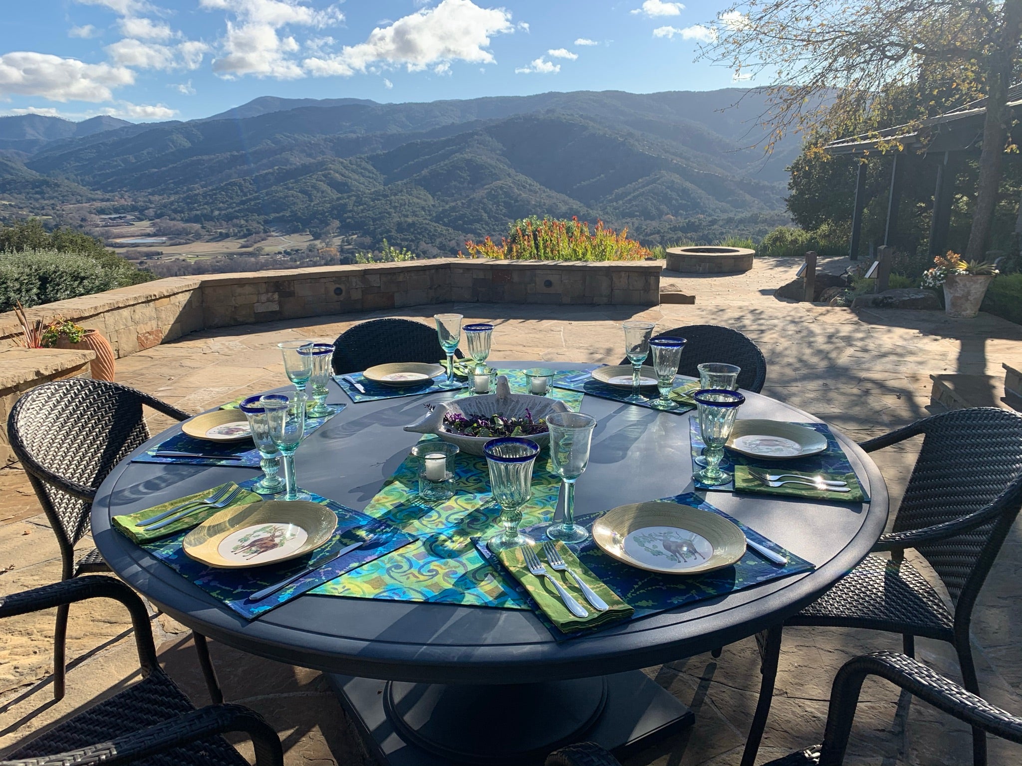 Hand Painted Placemats, Napkins, and Table Runners - Berrilicious/FleurDeMur