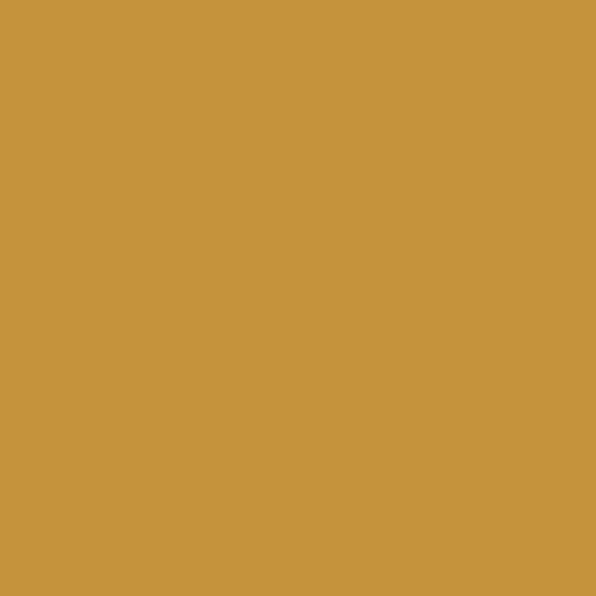 Slim Short Crops 2007SC - Solids - Flamé